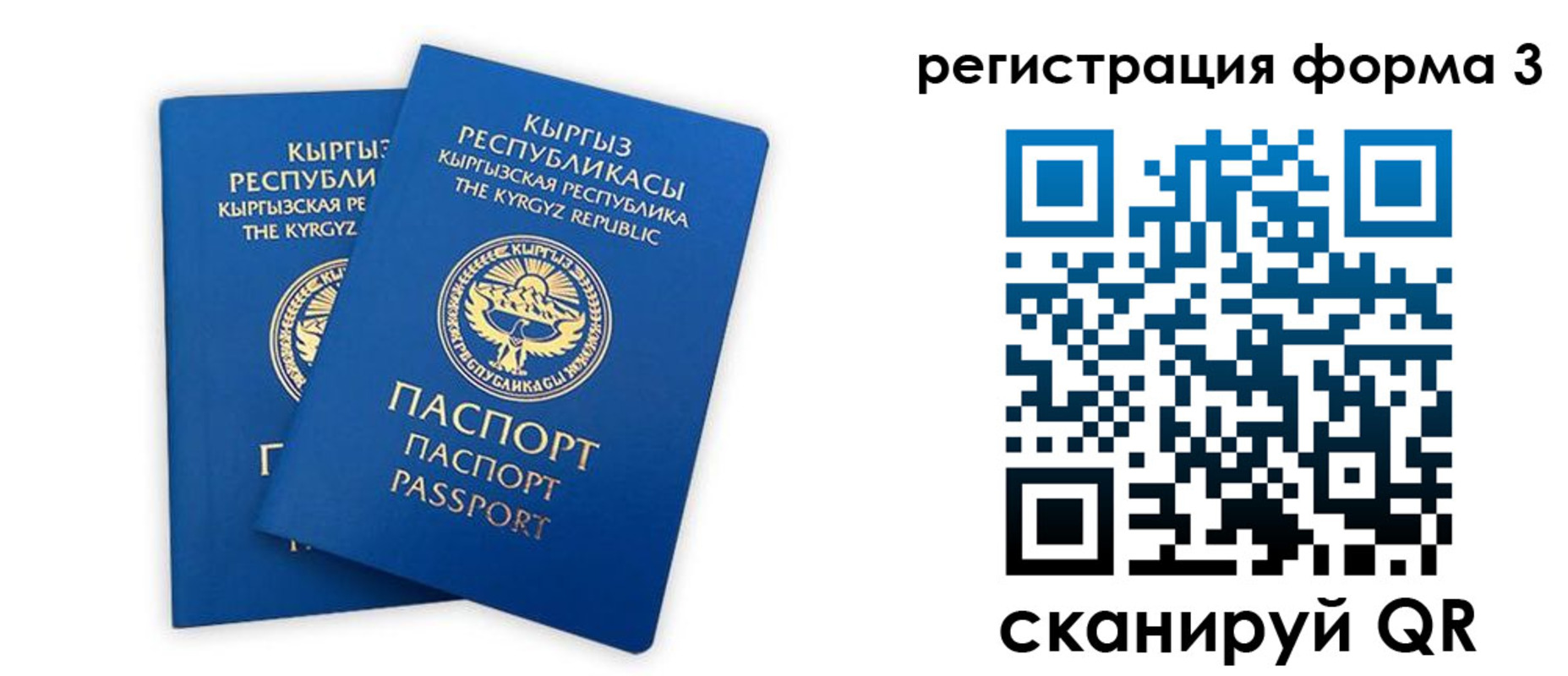 временная регистрация госуслуги в Ярославле